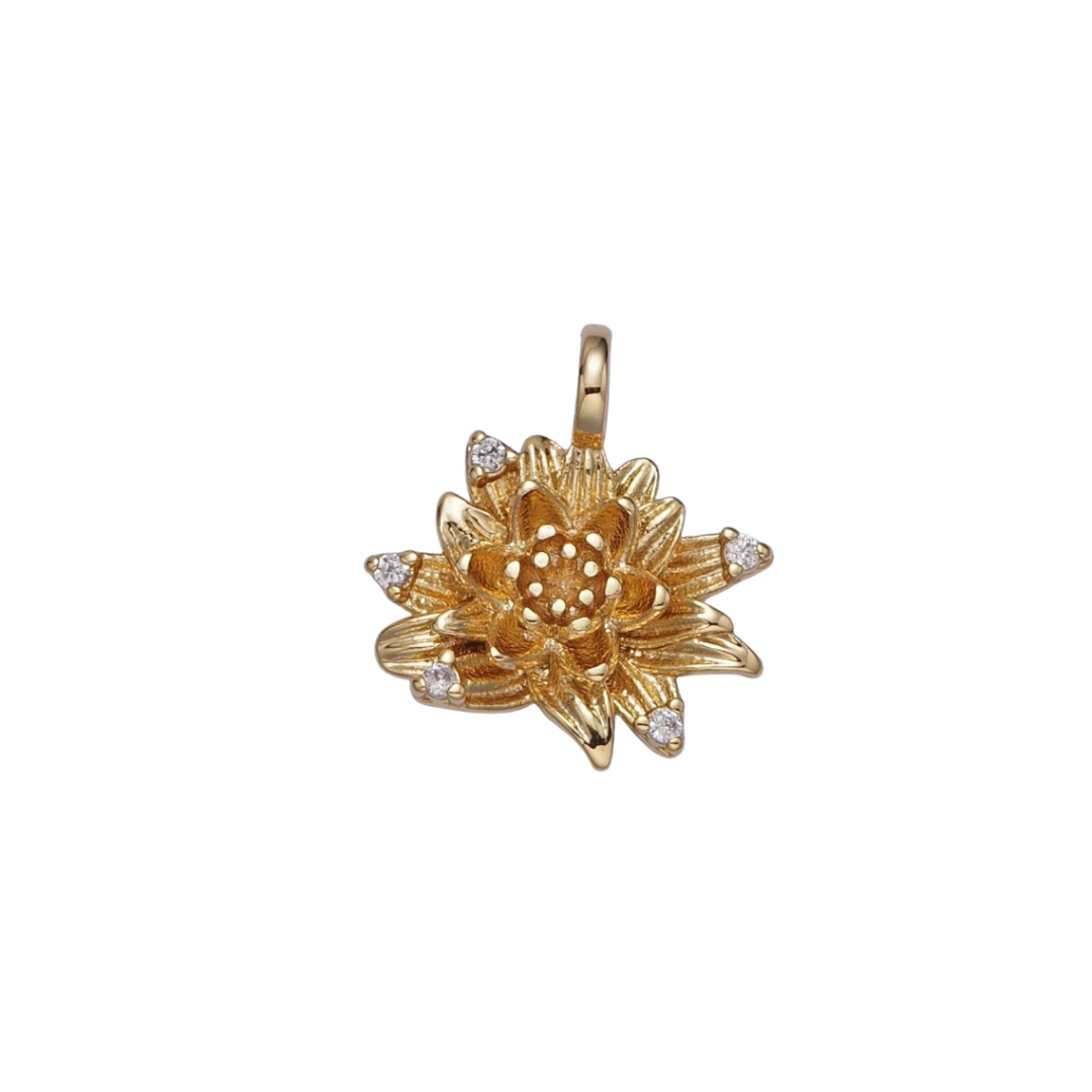 WATER LILY (M)