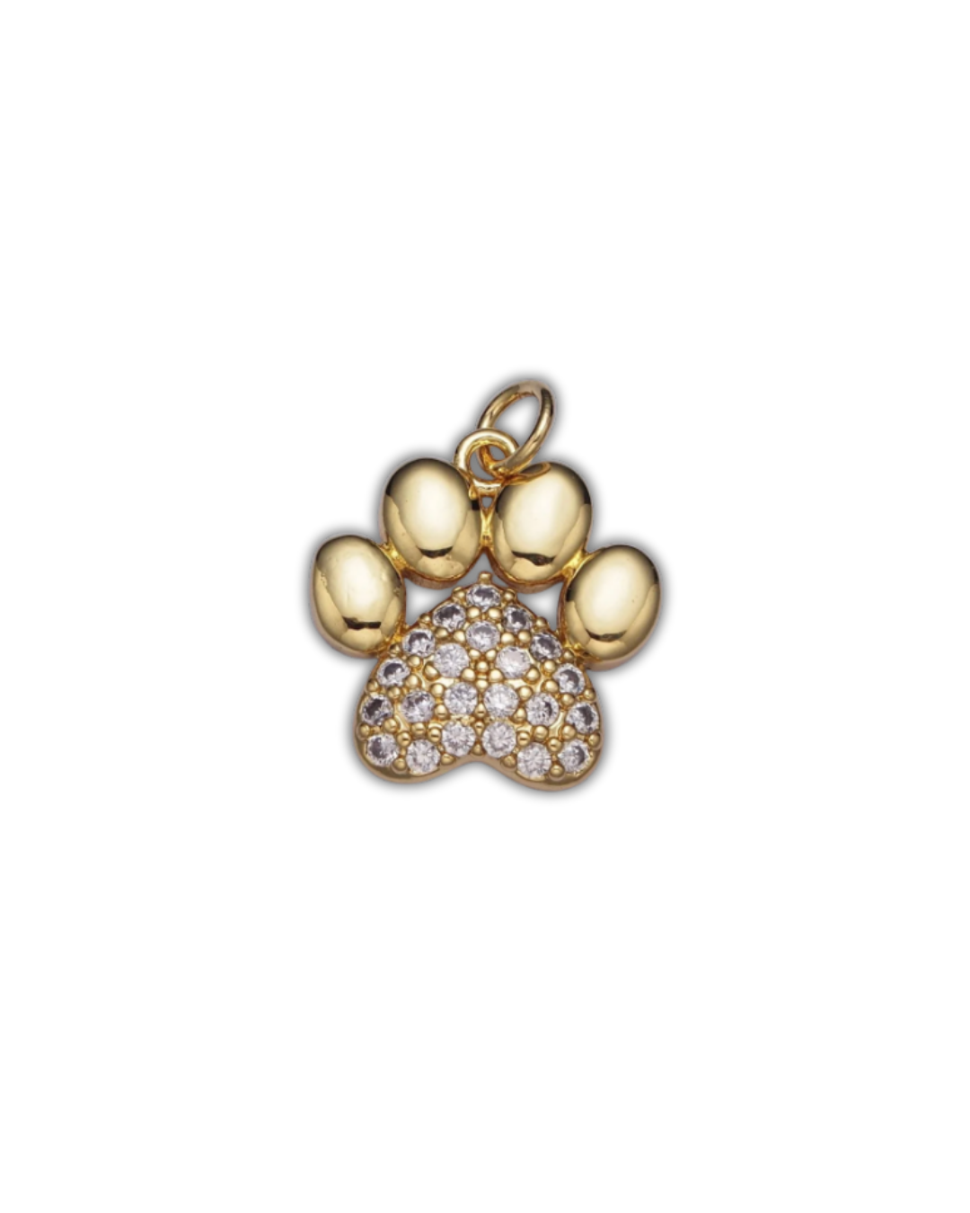 PAVE PAW PRINT (M)